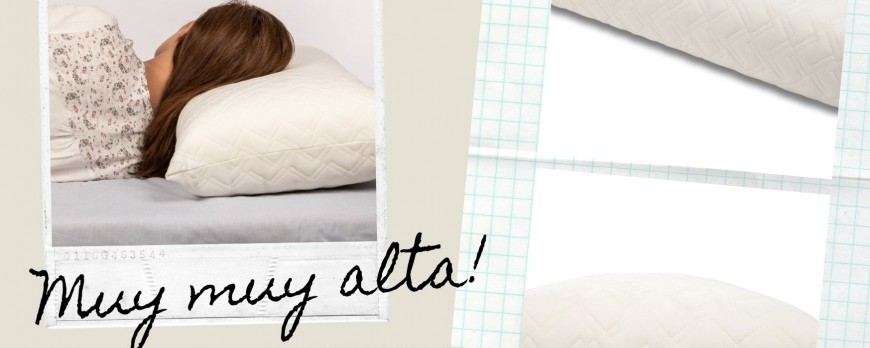 ¿Buscas una almohada viscoelástica muy alta? Almohada Top Visco de Seasons