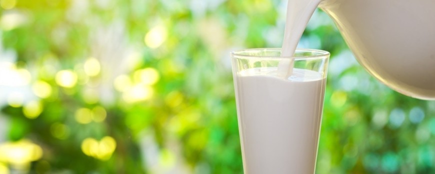 Toma un vaso de leche antes de dormir todas las noches